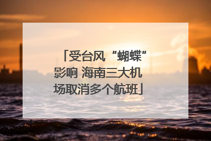 受台风“蝴蝶”影响 海南三大机场取消多个航班