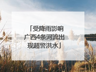 受降雨影响 广西4条河流出现超警洪水