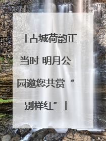 古城荷韵正当时 明月公园邀您共赏“别样红”