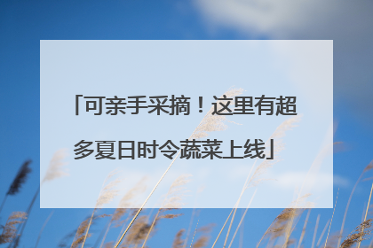 可亲手采摘！这里有超多夏日时令蔬菜上线