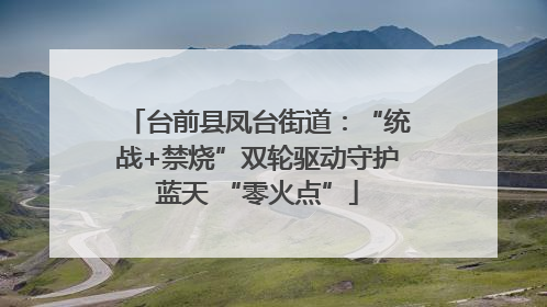 台前县凤台街道：“统战+禁烧”双轮驱动守护蓝天 “零火点”
