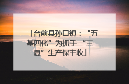 台前县孙口镇：“五基四化”为抓手 “三夏”生产保丰收