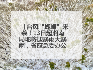 台风“蝴蝶”来袭！13日起湘南局地将迎暴雨大暴雨，省应急委办公室发布汛情提醒
