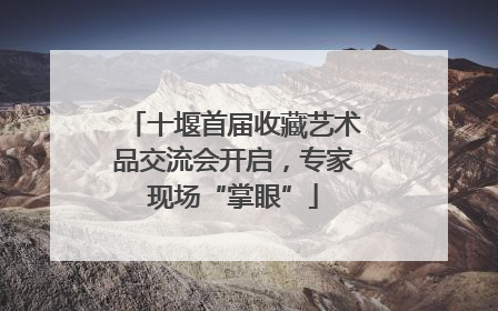 十堰首届收藏艺术品交流会开启，专家现场“掌眼”