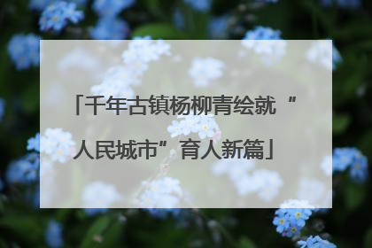 千年古镇杨柳青绘就“人民城市”育人新篇