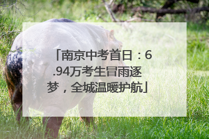 南京中考首日：6.94万考生冒雨逐梦，全城温暖护航
