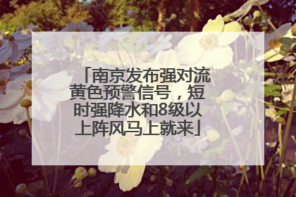 南京发布强对流黄色预警信号，短时强降水和8级以上阵风马上就来