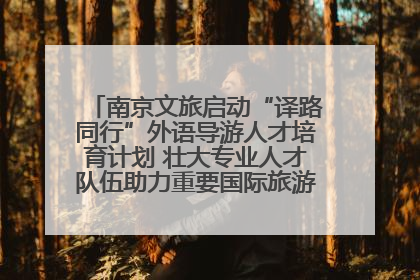 南京文旅启动“译路同行”外语导游人才培育计划 壮大专业人才队伍助力重要国际旅游目的地建设