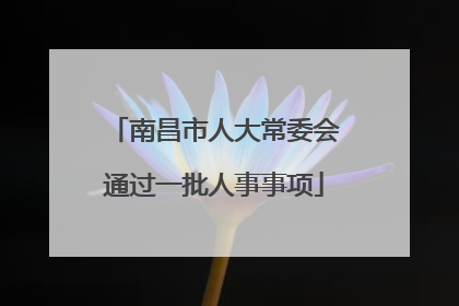 南昌市人大常委会通过一批人事事项