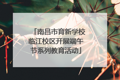 南昌市育新学校临江校区开展端午节系列教育活动