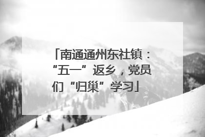 南通通州东社镇：“五一”返乡，党员们“归巢”学习
