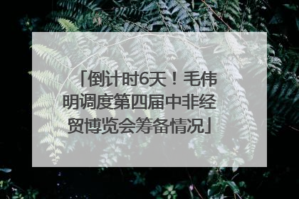 倒计时6天！毛伟明调度第四届中非经贸博览会筹备情况