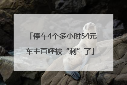 停车4个多小时54元 车主直呼被“刺”了