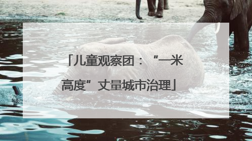 儿童观察团：“一米高度”丈量城市治理