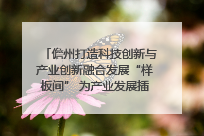 儋州打造科技创新与产业创新融合发展“样板间” 为产业发展插上科技“翅膀”
