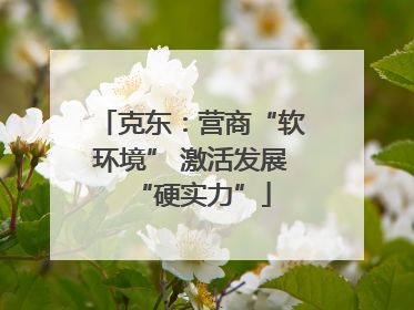 克东：营商“软环境” 激活发展“硬实力”
