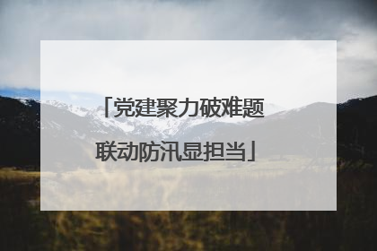 党建聚力破难题 联动防汛显担当