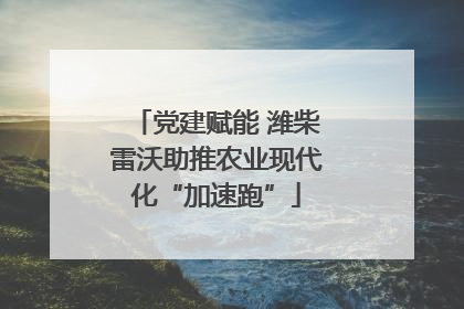 党建赋能 潍柴雷沃助推农业现代化“加速跑”