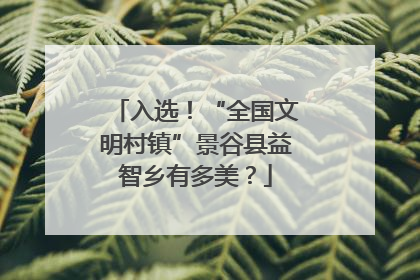 入选！“全国文明村镇”景谷县益智乡有多美？