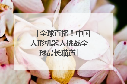 全球直播！中国人形机器人挑战全球最长猫道
