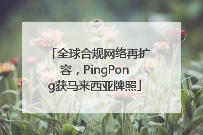 全球合规网络再扩容，PingPong获马来西亚牌照