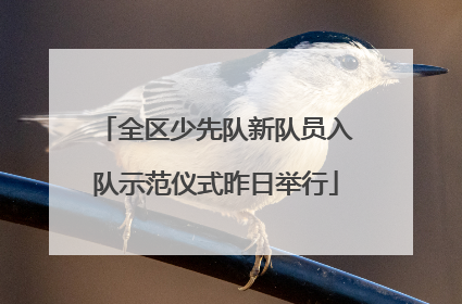 全区少先队新队员入队示范仪式昨日举行