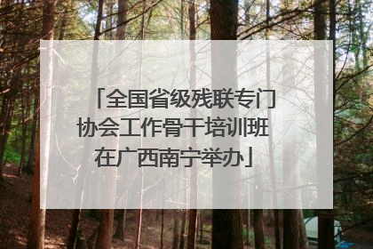 全国省级残联专门协会工作骨干培训班在广西南宁举办
