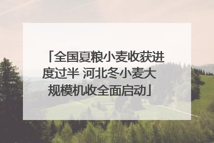 全国夏粮小麦收获进度过半 河北冬小麦大规模机收全面启动