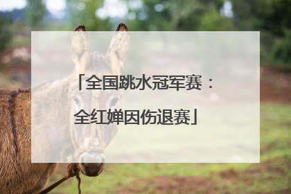 全国跳水冠军赛：全红婵因伤退赛
