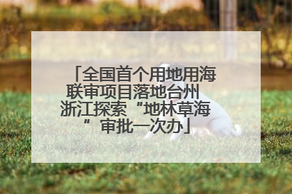 全国首个用地用海联审项目落地台州 浙江探索“地林草海”审批一次办