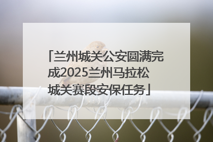兰州城关公安圆满完成2025兰州马拉松城关赛段安保任务