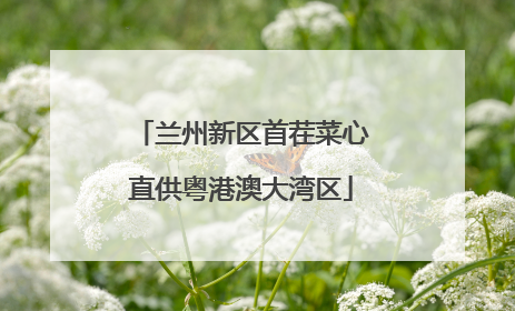 兰州新区首茬菜心直供粤港澳大湾区
