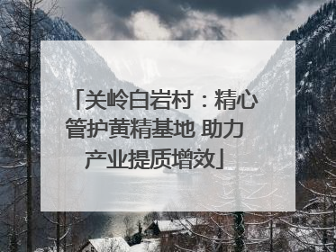 关岭白岩村：精心管护黄精基地 助力产业提质增效