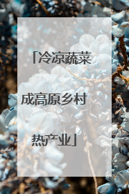冷凉蔬菜成高原乡村热产业
