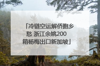冷链空运解侨胞乡愁 浙江余姚200箱杨梅出口新加坡