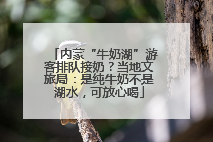 内蒙“牛奶湖”游客排队接奶？当地文旅局：是纯牛奶不是湖水，可放心喝