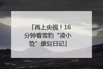再上央视！16分钟看雪豹“凌小蛰”康复日记