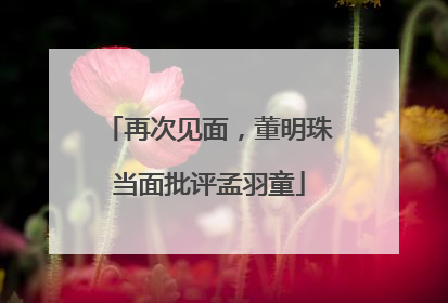 再次见面，董明珠当面批评孟羽童