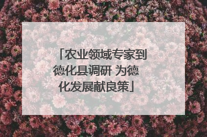农业领域专家到德化县调研 为德化发展献良策