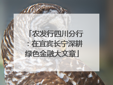 农发行四川分行：在宜宾长宁深耕绿色金融大文章