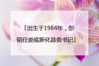 出生于1984年，彭韬任娄底新化县委书记