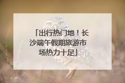 出行热门地！长沙端午假期旅游市场热力十足