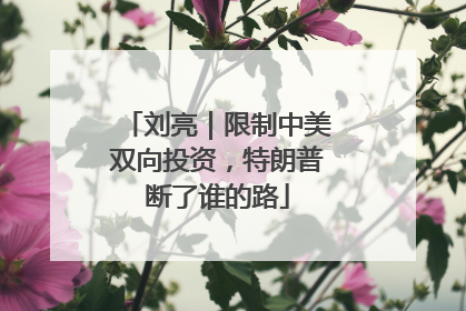 刘亮｜限制中美双向投资，特朗普断了谁的路