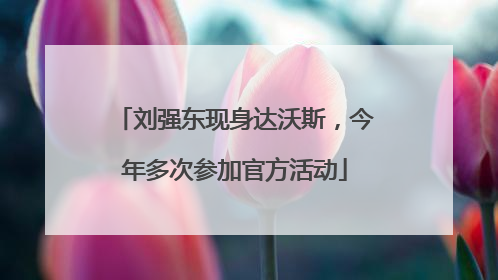 刘强东现身达沃斯，今年多次参加官方活动