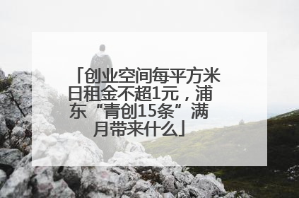 创业空间每平方米日租金不超1元，浦东“青创15条”满月带来什么