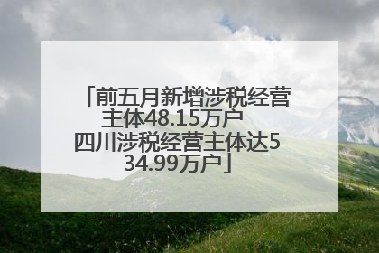 前五月新增涉税经营主体48.15万户 四川涉税经营主体达534.99万户