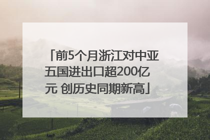 前5个月浙江对中亚五国进出口超200亿元 创历史同期新高