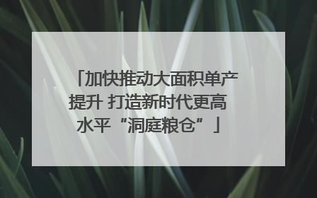 加快推动大面积单产提升 打造新时代更高水平“洞庭粮仓”