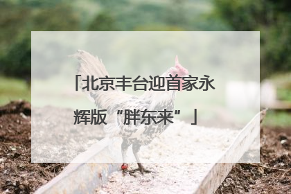 北京丰台迎首家永辉版“胖东来”