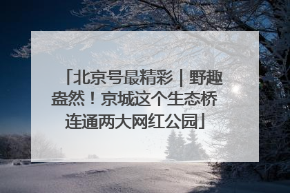北京号最精彩｜野趣盎然！京城这个生态桥连通两大网红公园